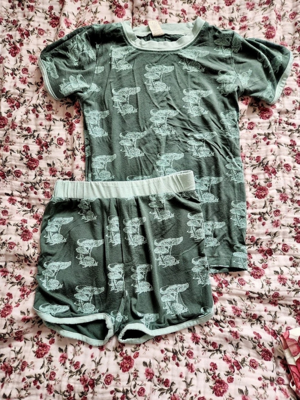 Kate Quinn Short Sleeve Top and Shorts Bamboo Mushroom Set 7Y